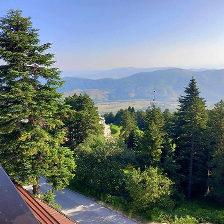 Hotel Molika Magarevo Экстерьер фото